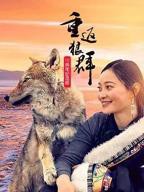 重返狼群纪录片全集免费观看