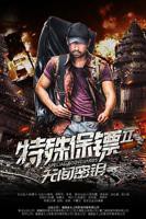 《航空:特殊待遇2》