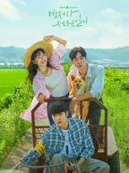 韩剧《偶然同居》免费观看全集